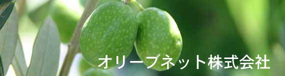 新着情報